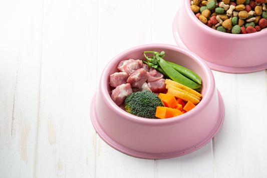 💛Bowl saludable para tu perro con Superyellow