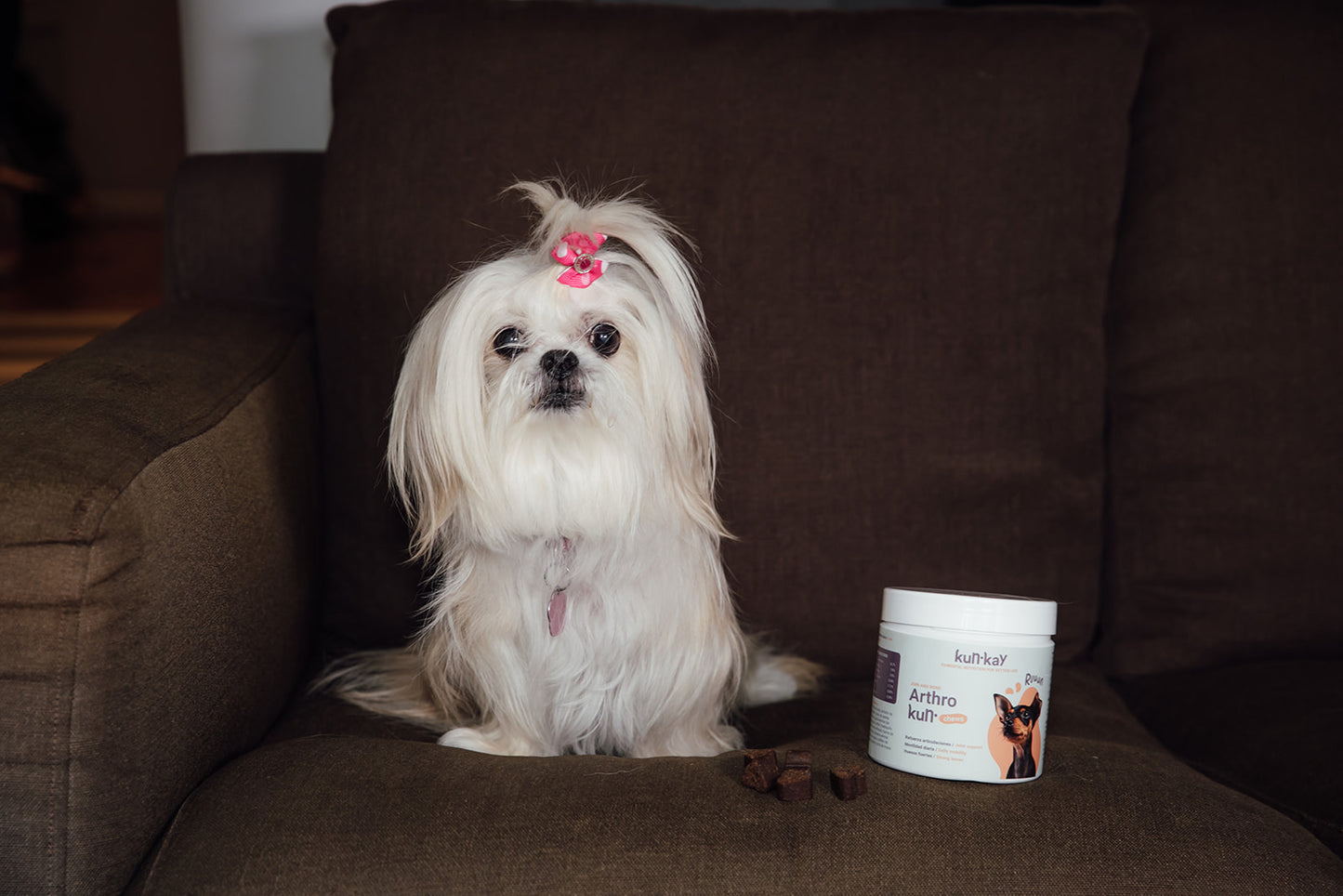 Arthrokun MINI Chews - Suplemento Condoprotector & Salud Articular