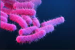 Bacillus valenienzis en forma de prebióticos rosas sobre fondo azul, destacando su presentación y color llamativo