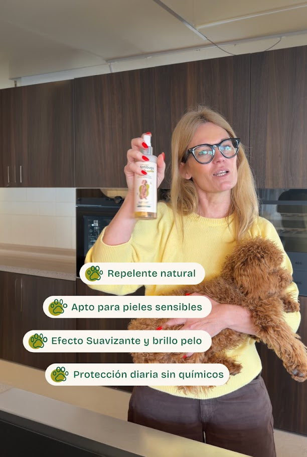 Fuera bichos AntibugsKun - Champú + Loción Repelente Natural
