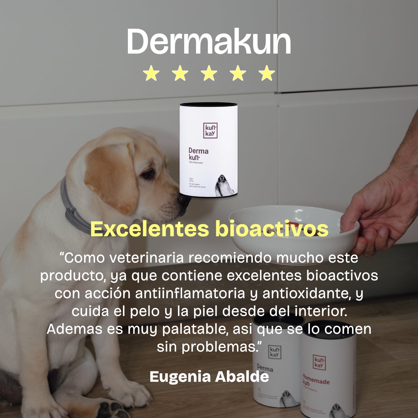 Dermakun Perros (260 g) Suplemento para cuidar la Piel y Pelo