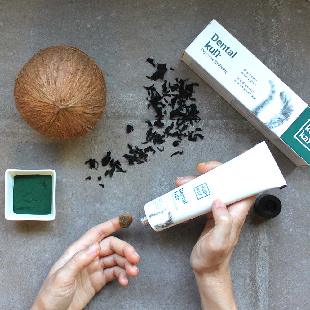 Suplemento natural para a limpeza oral de cães e gatos