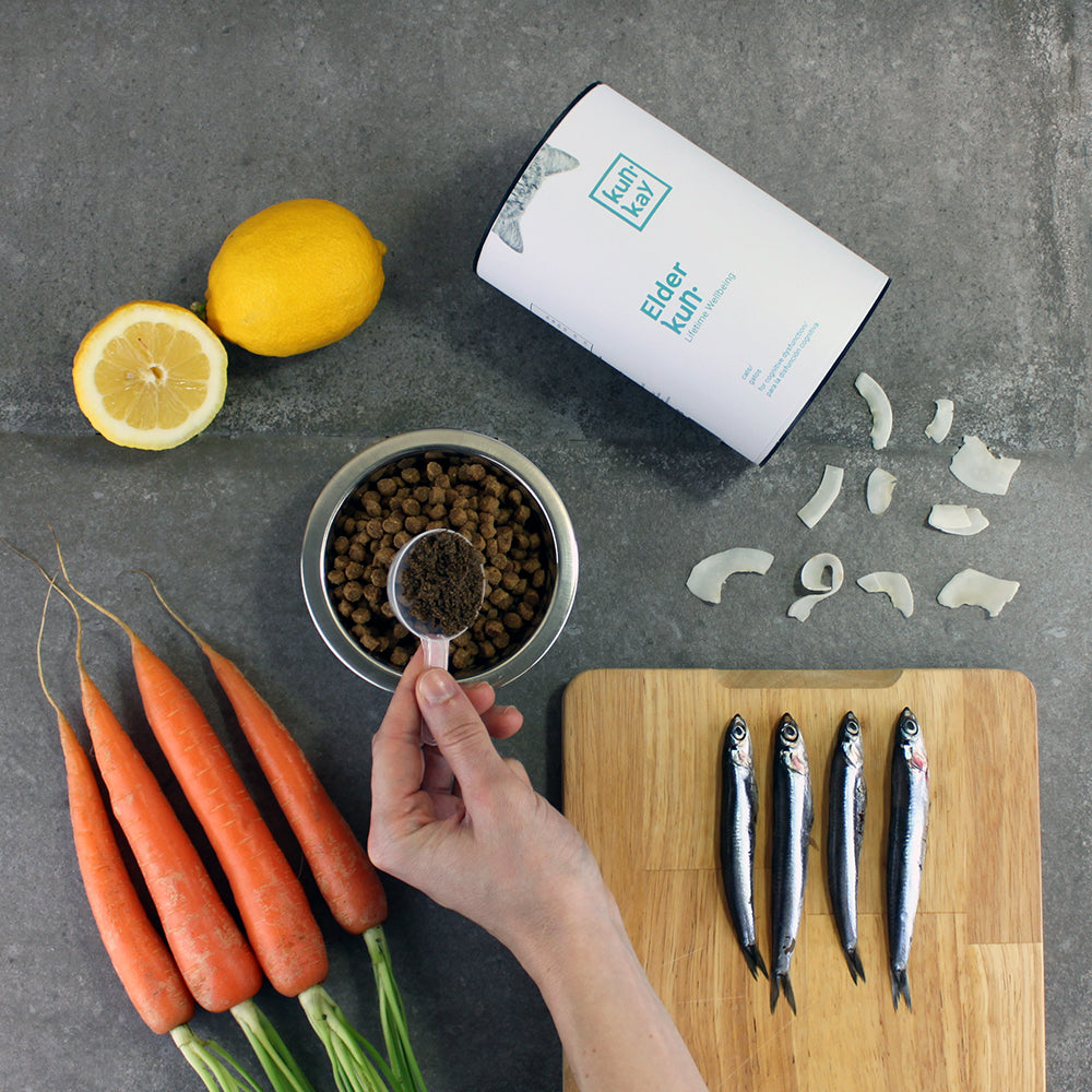 Suplement natural per a l'envelliment cerebral de gats