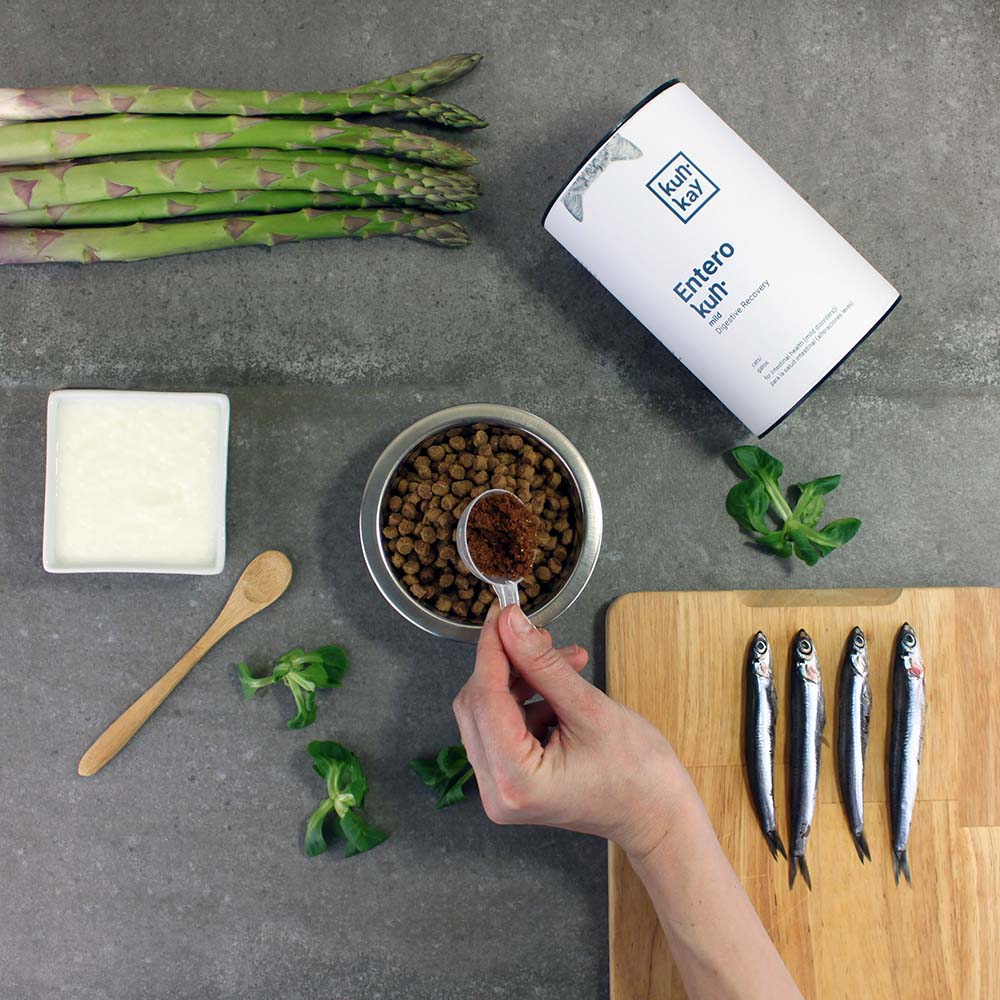 Complément naturel contre la diarrhée chez les chats