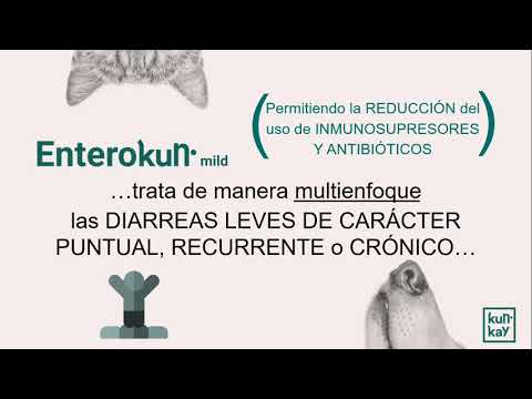 Suplemento natural para diarreas de perros