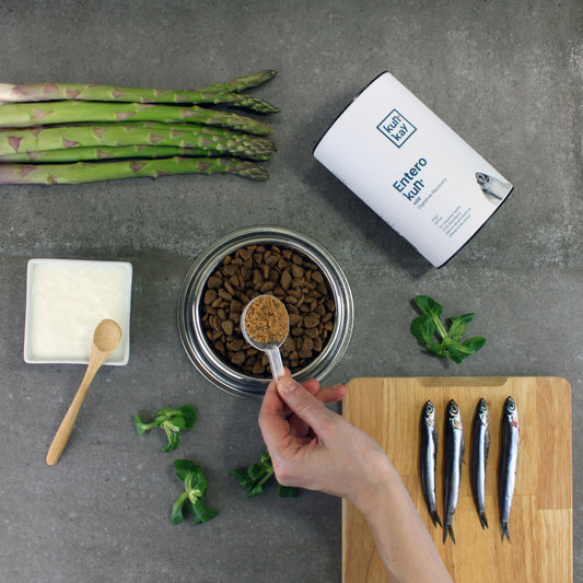 Evita la resaca navideña y sus efectos secundarios en tu perro