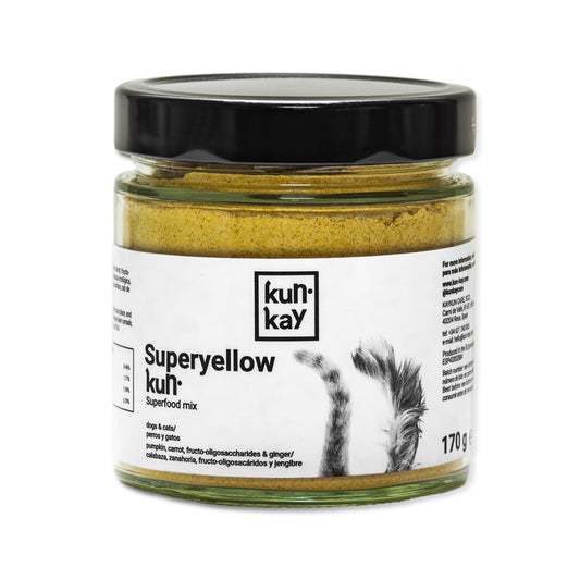 Cómo ayudar a tu perro con problemas digestivos