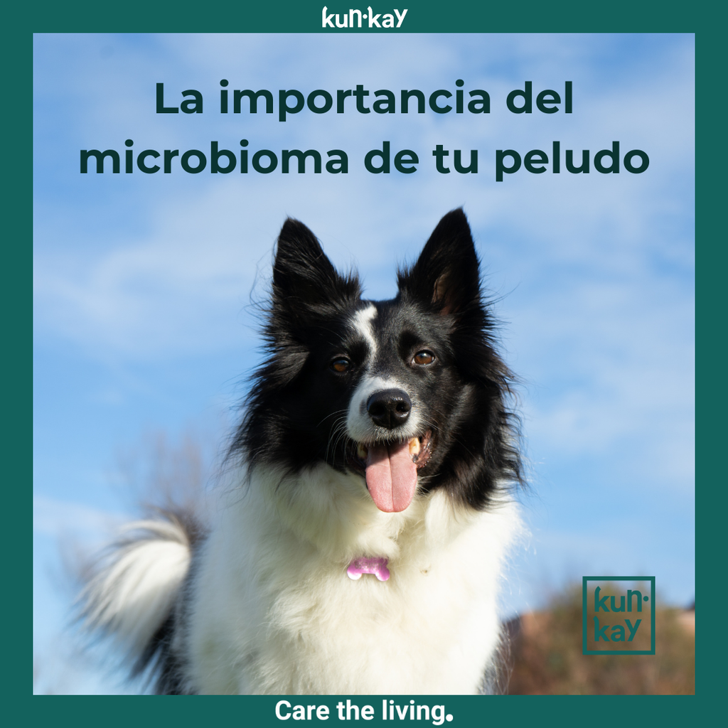 La importancia del microbioma de tu peludo