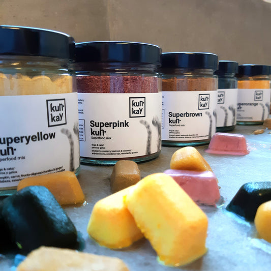 Helados para perros saludables