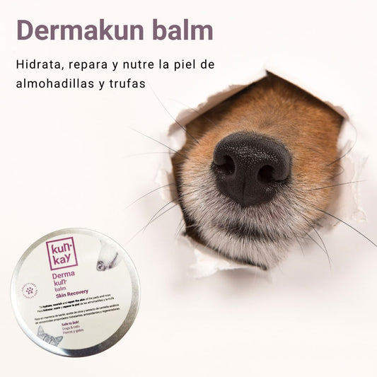 Dermakun balm: cosmética natural para perros y gatos