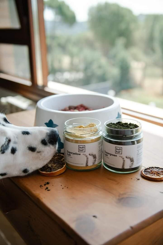 Dalmatian smelling Superyellowkun, a supplement for intestinal health