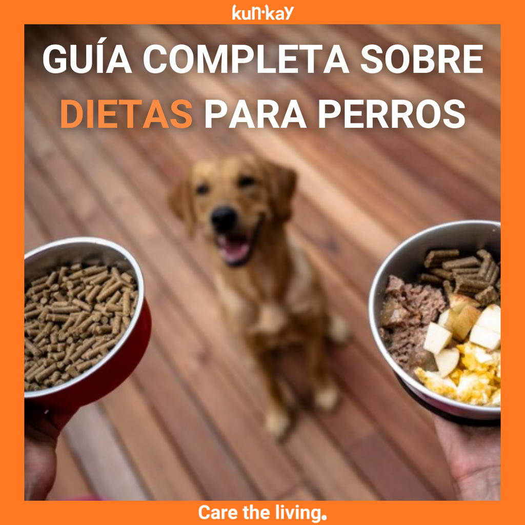 GUÍA COMPLETA SOBRE DIETAS PARA PERROS