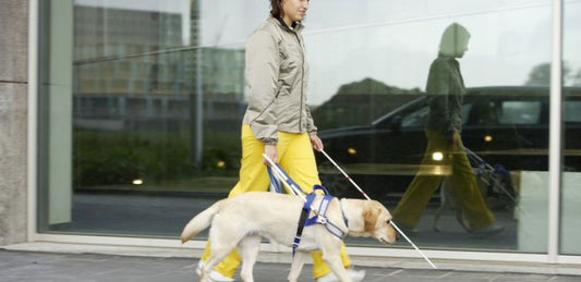 Mujer invidente con su perro guia paseando