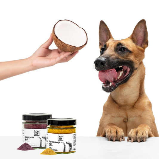 Ácidos Grasos del coco: el Superpoder secreto para tu perro