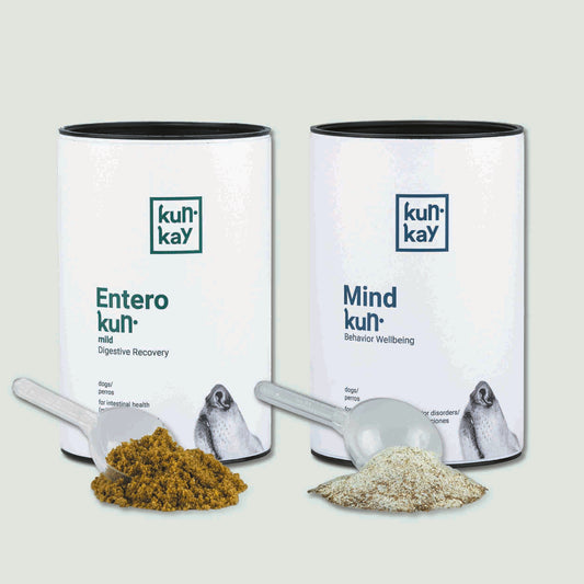 Zen Pack (Hunde)