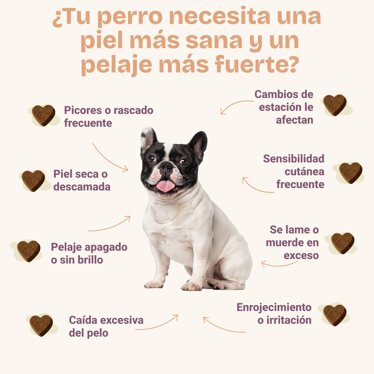 Dermakun Chews Perros - Suplemento para la salud de la Piel y el Pelo