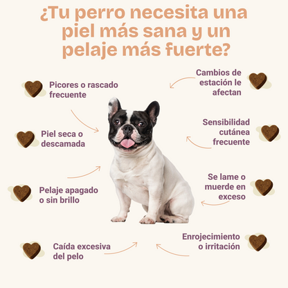 Dermakun Chews Perros - Suplemento para la salud de la Piel y el Pelo