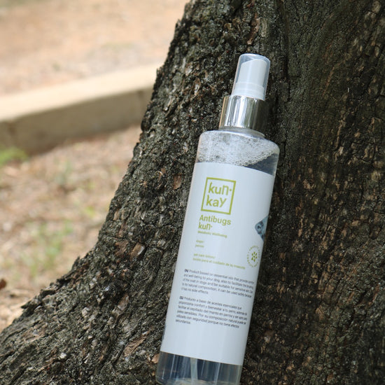 Loción antiparasitaria natural para Perros