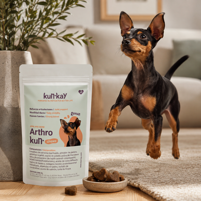 Arthrokun MINI Chews - Condroprotectief Supplement & Gewrichtsgezondheid