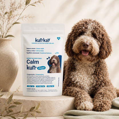 Arthrokun Chews - Supplément Condoprotecteur & Santé Articulaire