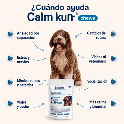 Arthrokun Chews - Supplément Condoprotecteur & Santé Articulaire
