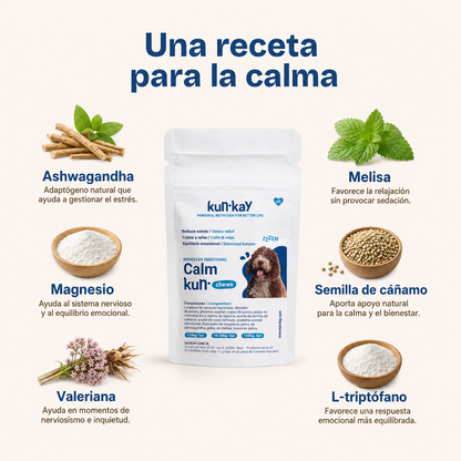 Arthrokun Chews - Supplément Condoprotecteur & Santé Articulaire