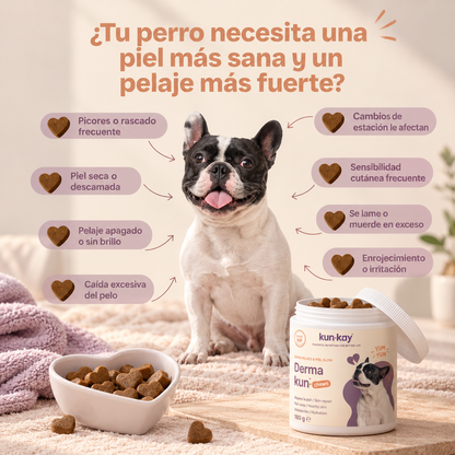 Arthrokun Chews - Condroprotectief supplement & gewrichtsgezondheid