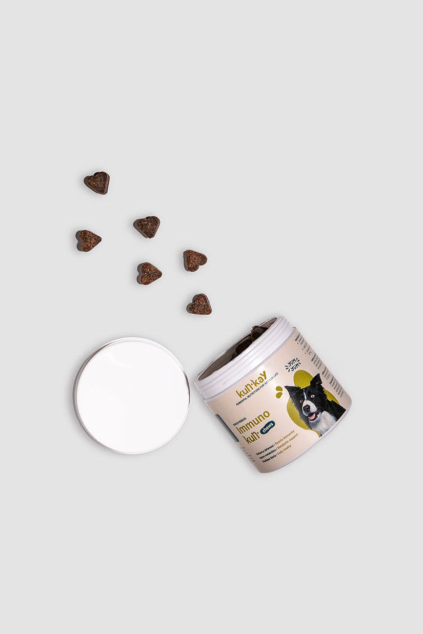 Immunokun Chews Honden - Supplement om de Immuniteit te Verbeteren