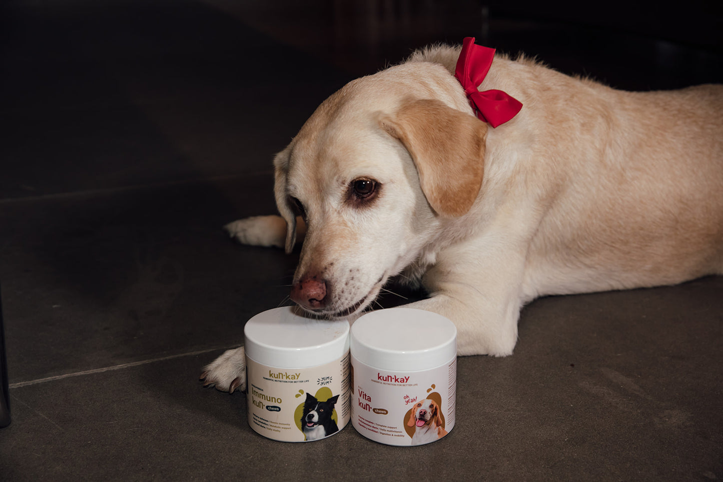 Vitakun Chews Perros - Suplemento nutricional con Vitaminas y Condroprotectores