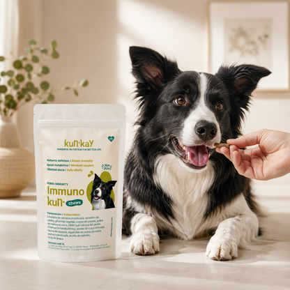 Immunokun MINI Chews Honden - Supplement om de immuunrespons te verbeteren