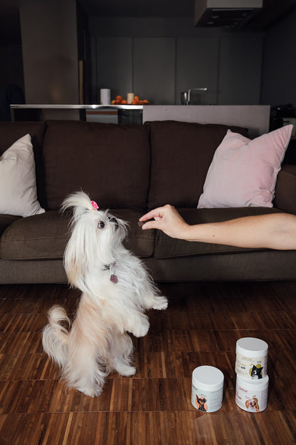 Arthrokun Chews - Suplemento para la Salud Articular
