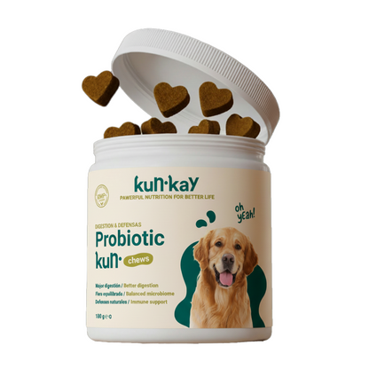 Probiotic Chews Perros - Suplemento para su Salud Intestinal