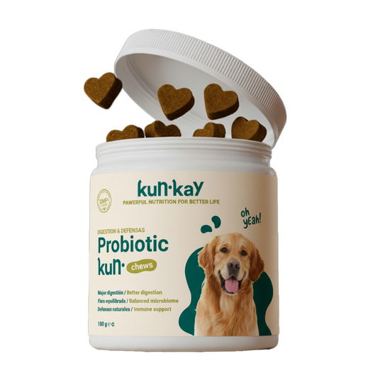 Probiotic Chews Perros - Suplemento para su Salud Intestinal
