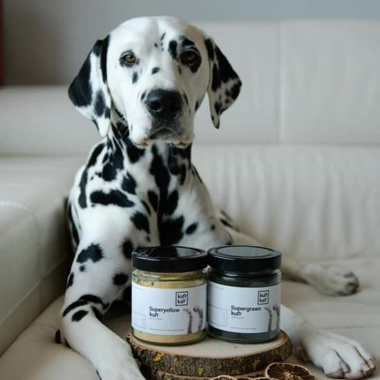 Suplementos naturales para perros y gatos