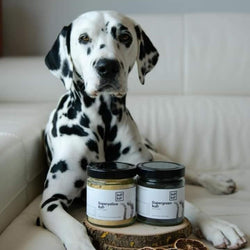 Suplementos naturales para perros y gatos