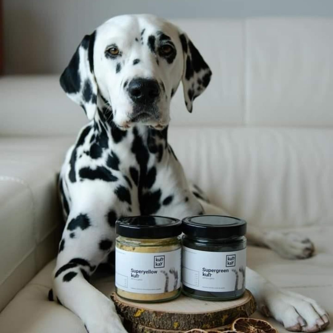 Suplementos nutricionales naturales para perros y gatos