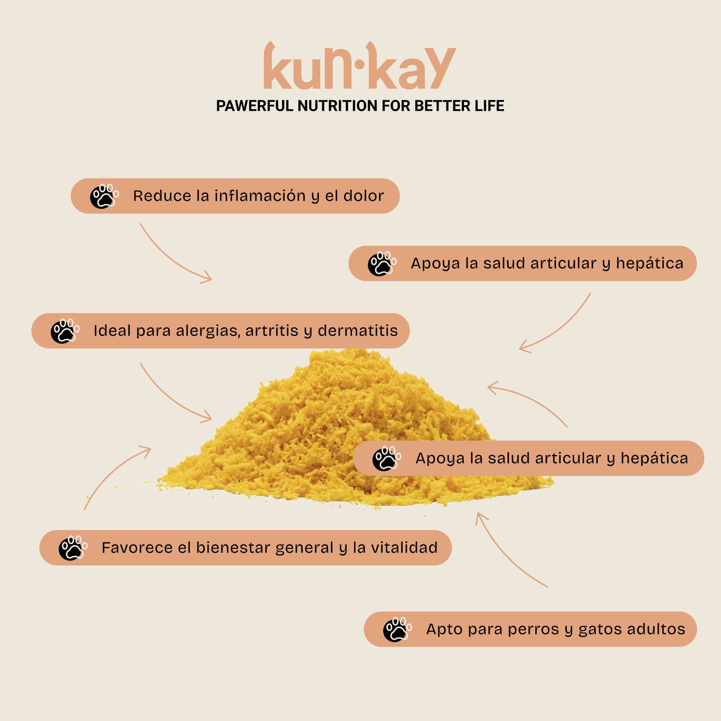 Rainbow Pack (Hunde und Katzen)