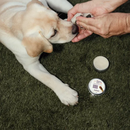 Dermakun balm (Perros y gatos - 50 ml) Bálsamo natural para almohadillas y trufa