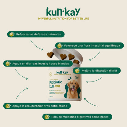 Probiotic Chews Perros - Suplemento para su Salud Intestinal