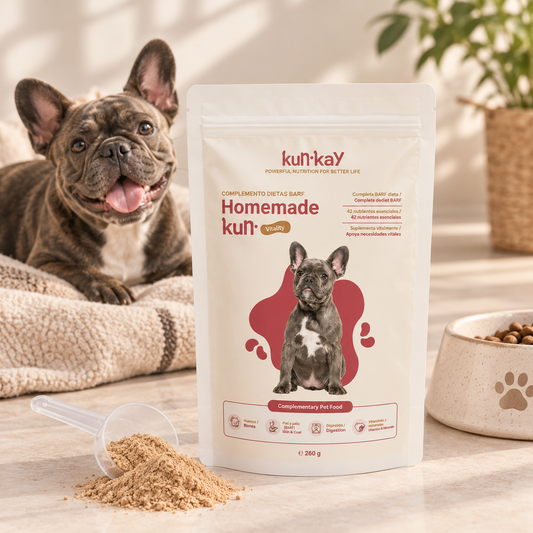 Homemadekun Chiens (260 g) Supplément nutritionnel avec vitamines et minéraux