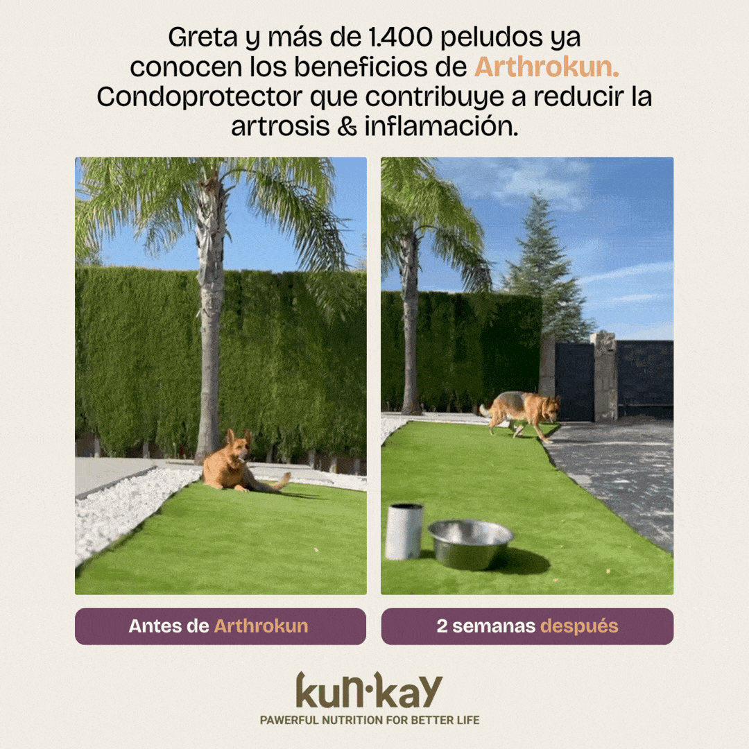 Arthrokun Hunde (150 g) Nahrungsergänzungsmittel für Gelenkgesundheit