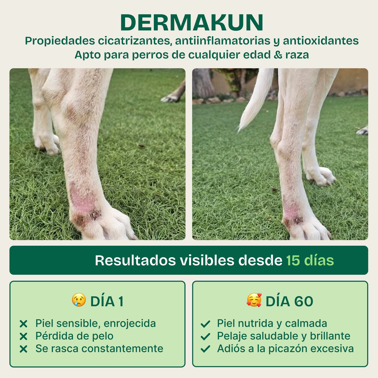 Dermakun Hunde (260 g) Ergänzung zur Pflege von Haut und Fell