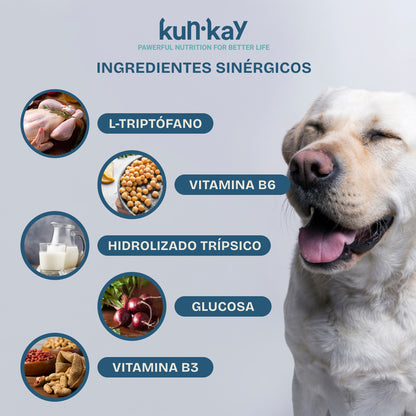 Mindkun Perros (150 g) Suplemento Antiestrés y Ansiedad