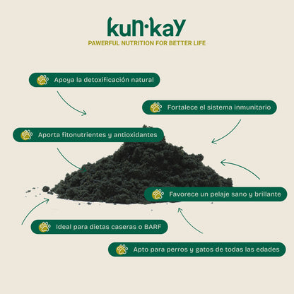 Rainbow Pack (Hunde und Katzen)