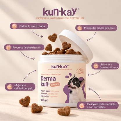 Arthrokun Chews - Condroprotectief supplement & gewrichtsgezondheid