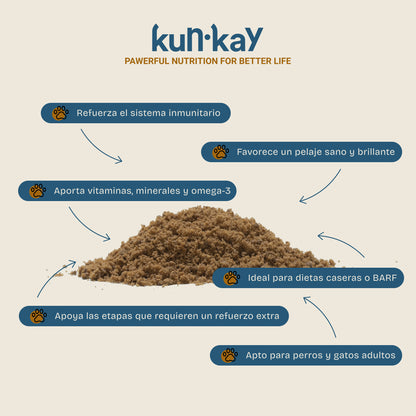 Rainbow Pack (Hunde und Katzen)