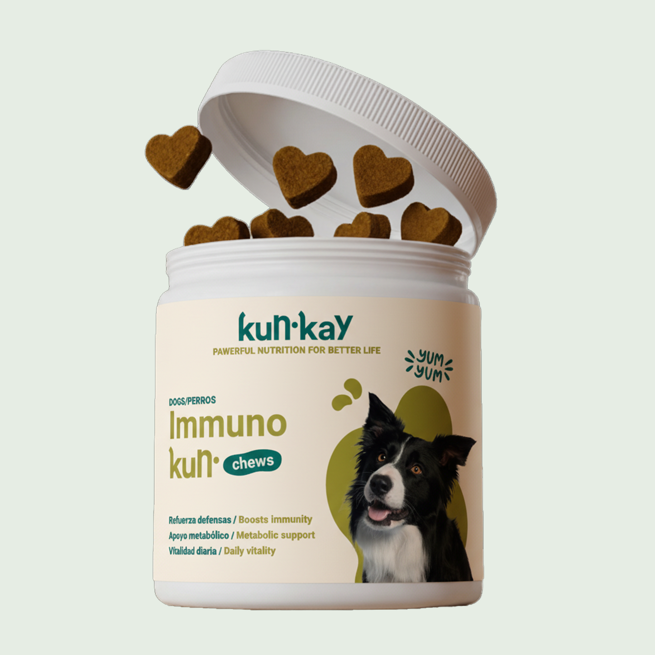 Paws Log In Immunokun® Chews Supplement for dogs with leishmaniasis – KUNKAY