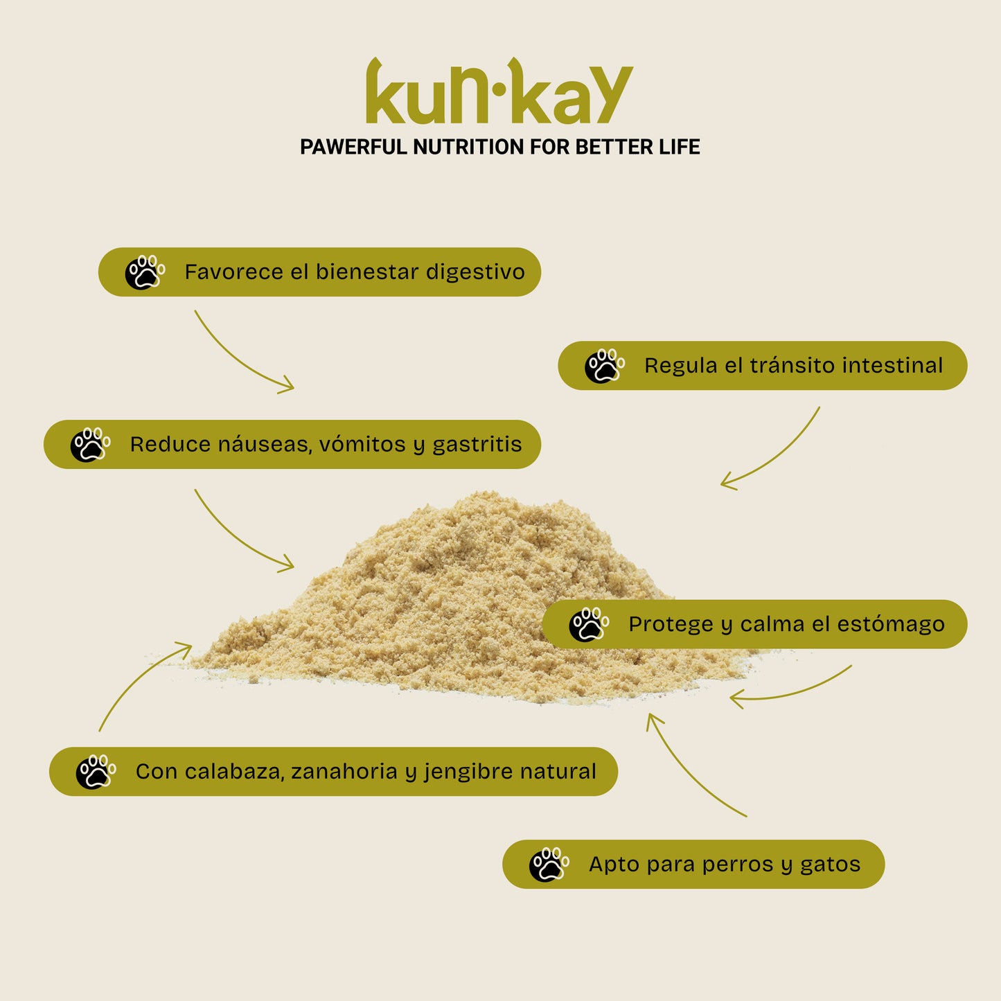 Rainbow Pack (Hunde und Katzen)