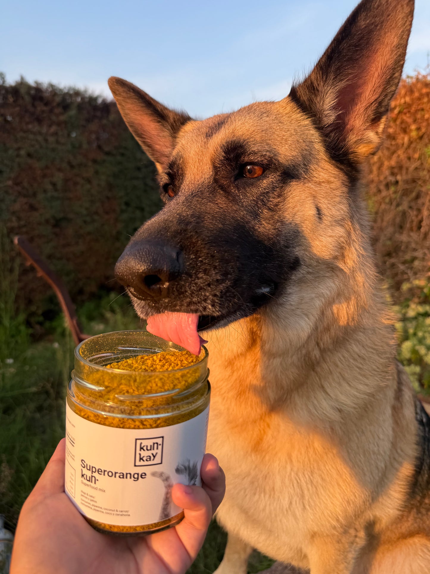 Superorangekun (Cani e Gatti - 180 g) Integratore per artrite, epatite, dermatite