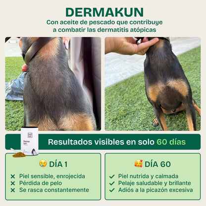 Dermakun Perros (260 g) Suplemento para cuidar la Piel y Pelo